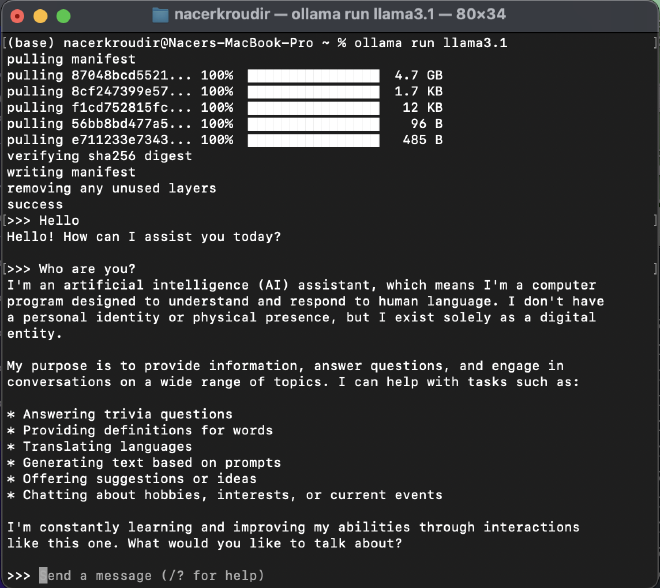 Terminal for interaction with LLaMA 3.1